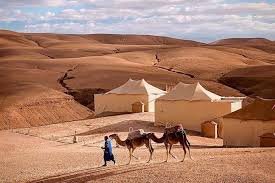 Camel Trekking in Merzouga: Everything You Need to Know